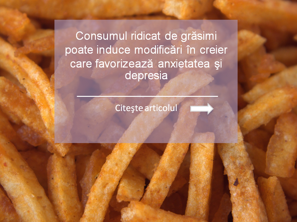 consumul de grasimi produce modificari in creier