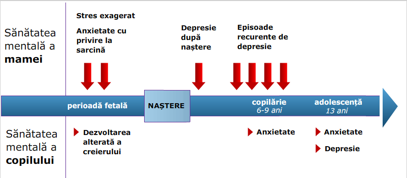 axa_temporala